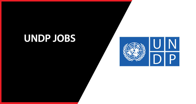 UNDP Jobs